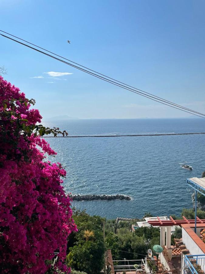 La Rosa Dei Venti Villa Massa Lubrense Exterior foto
