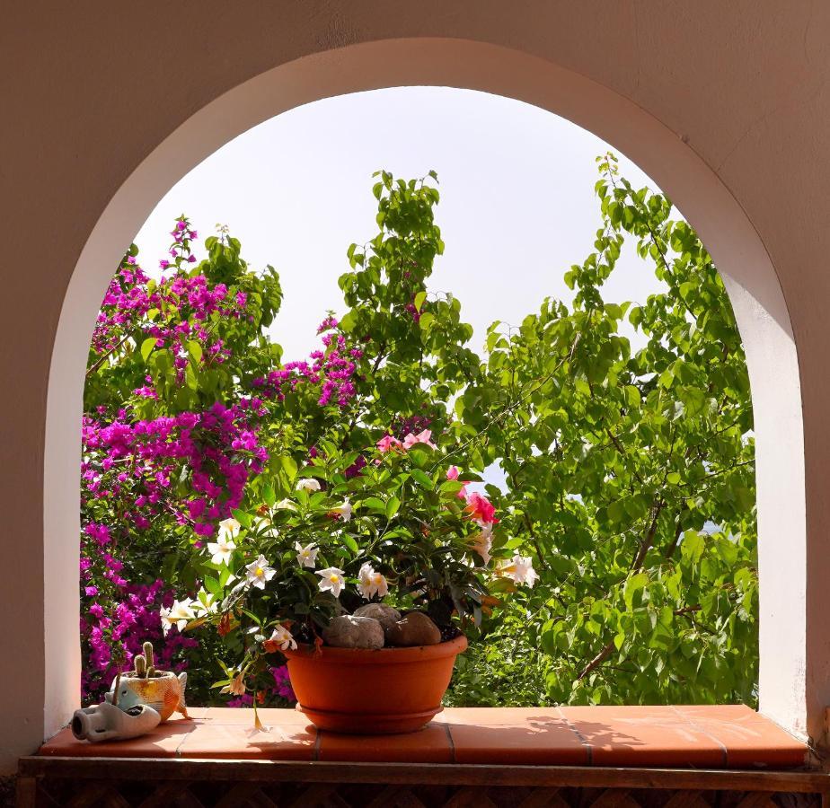 La Rosa Dei Venti Villa Massa Lubrense Exterior foto