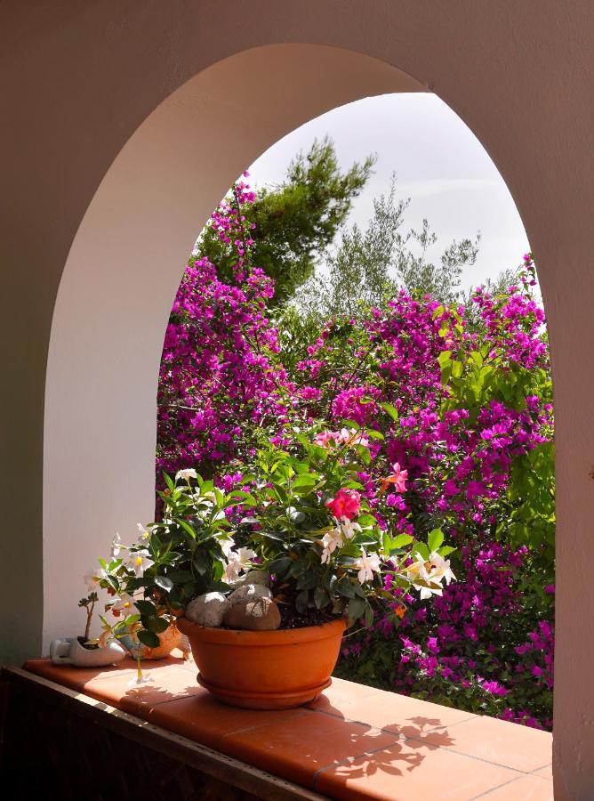La Rosa Dei Venti Villa Massa Lubrense Exterior foto
